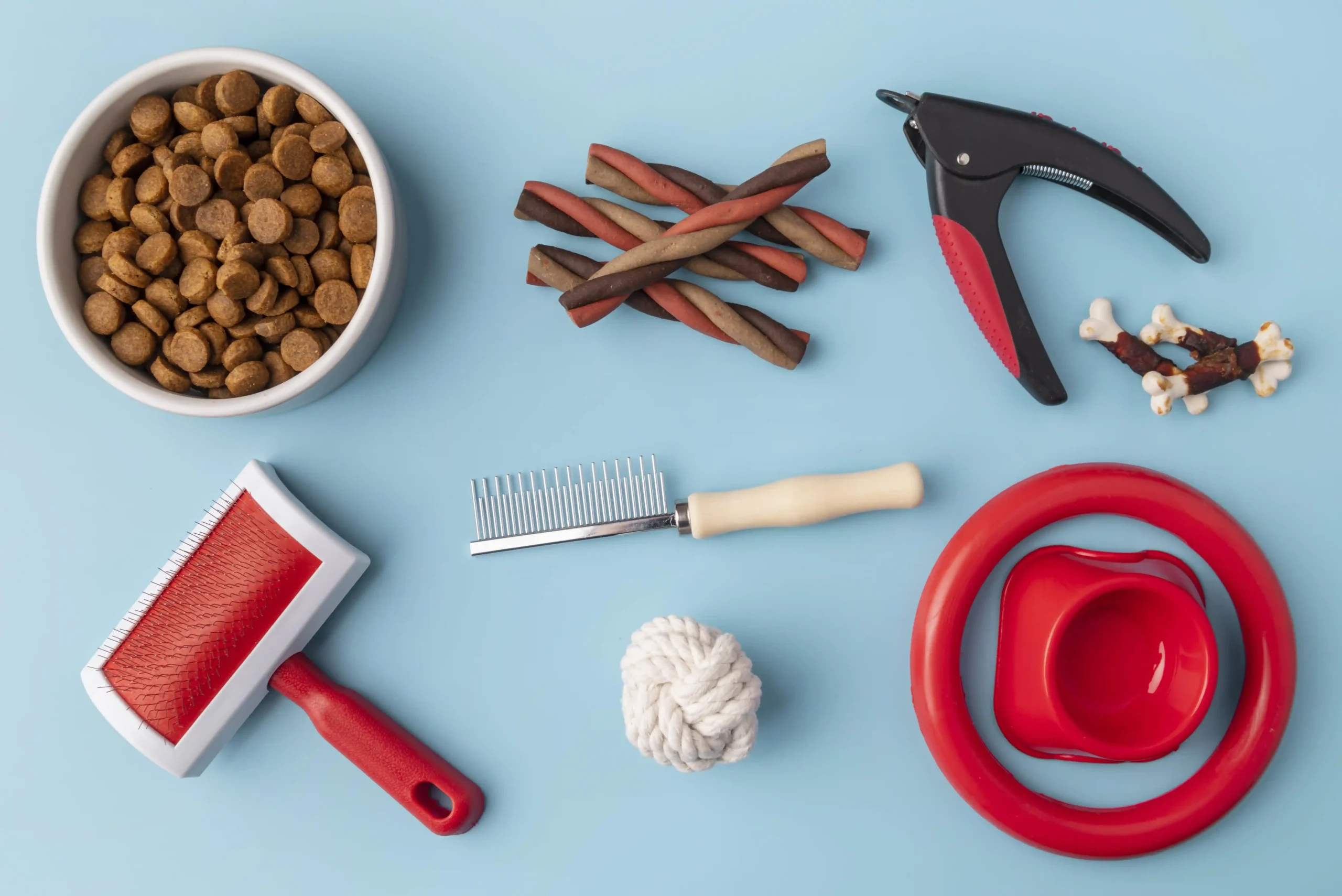 dog grooming essentials