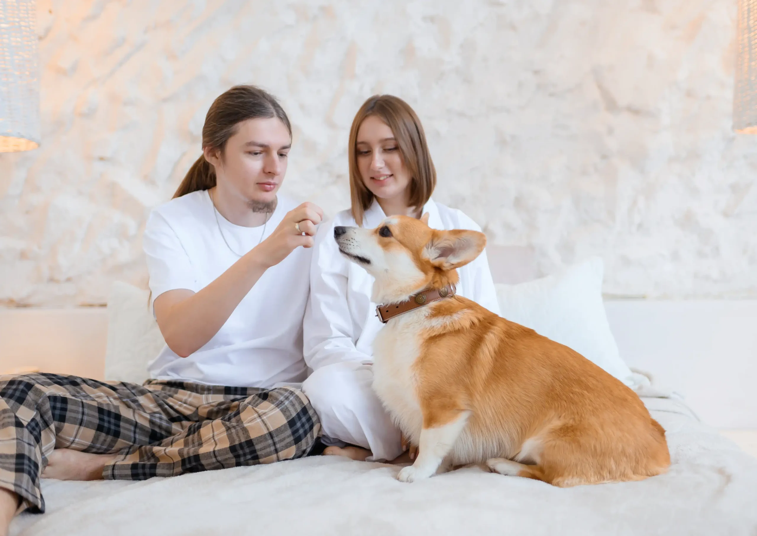 puppy sleep training tips