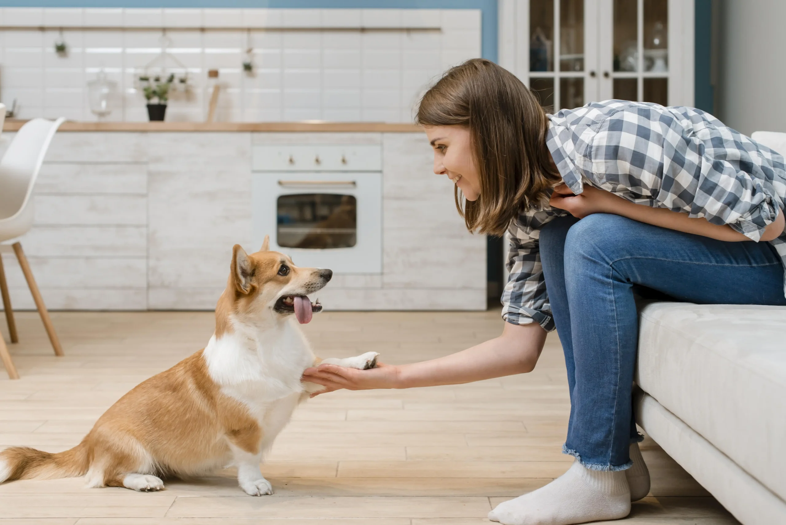 How To Take Care of Dogs: A Pet Parent Checklist