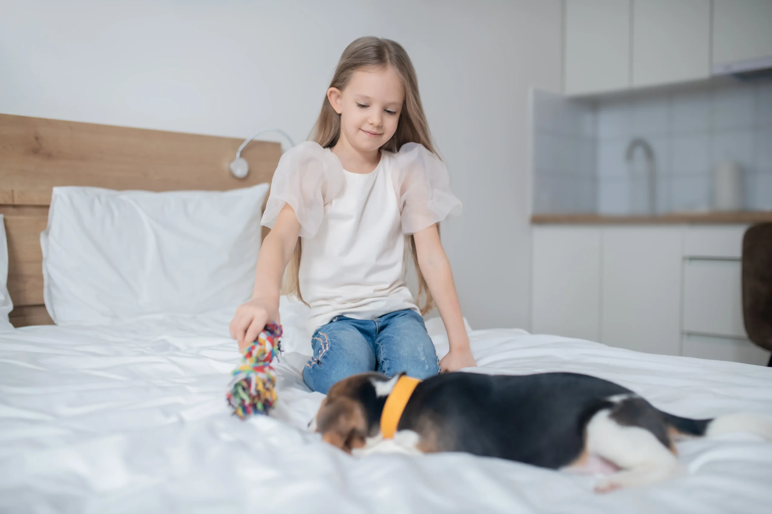 10 Proven Puppy Sleep Training Tips Every Dog Owner Should Know